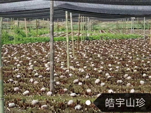 &#20048;&#40060;&#32593;&#39029;&#29256;&#45;&#20048;&#40060;&#40;&#20013;&#22269;&#41;&#23448;&#26041;