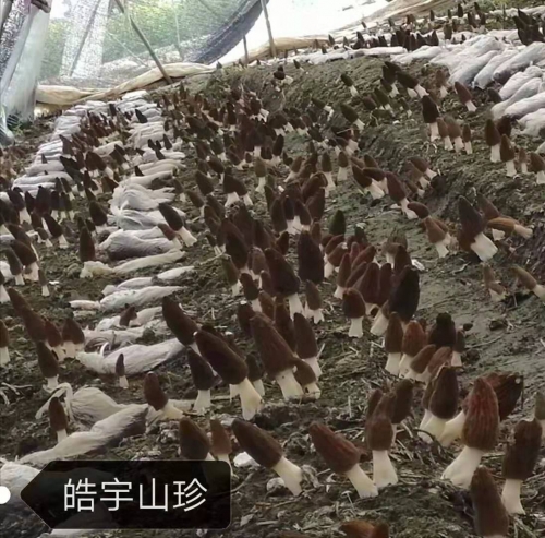 &#20048;&#40060;&#32593;&#39029;&#29256;&#45;&#20048;&#40060;&#40;&#20013;&#22269;&#41;&#23448;&#26041;
