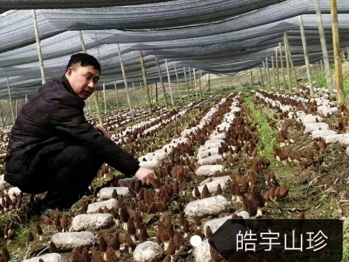 &#20048;&#40060;&#32593;&#39029;&#29256;&#45;&#20048;&#40060;&#40;&#20013;&#22269;&#41;&#23448;&#26041;